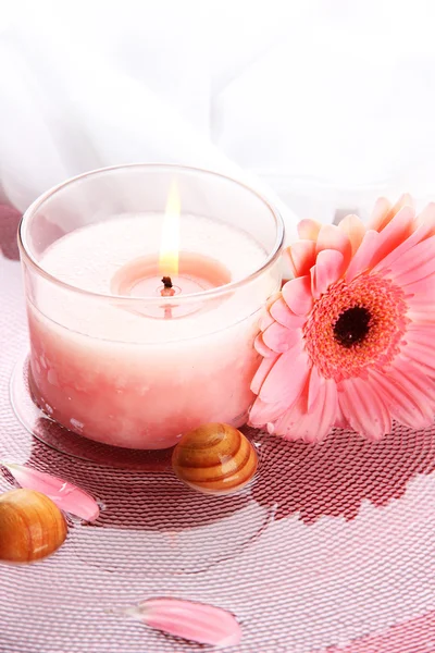 Hermosa vela rosa con flor en agua — Foto de Stock