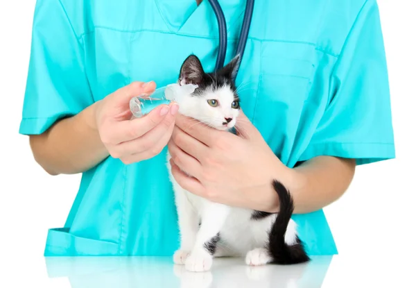 Veterinário examinando gatinho isolado em branco — Fotografia de Stock
