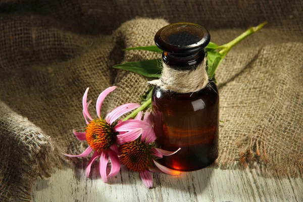 Geneeskunde fles met paarse echinacea bloemen op houten tafel met jute — Stockfoto