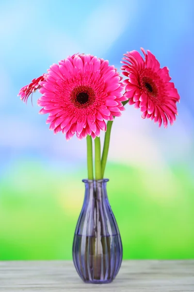 Beautiful pink gerbera flowers in vase on wooden table — Stock Photo, Image