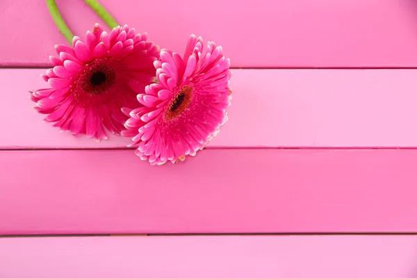 美しいピンクのガーベラの花紫の木製のテーブル — ストック写真