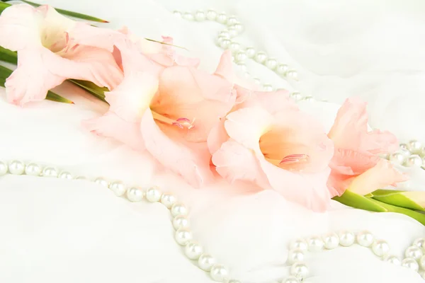 Hermosa flor de gladiolo sobre fondo de tela blanca — Foto de Stock