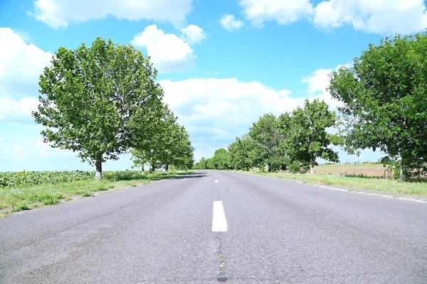 Asphalt road — Stock Photo, Image