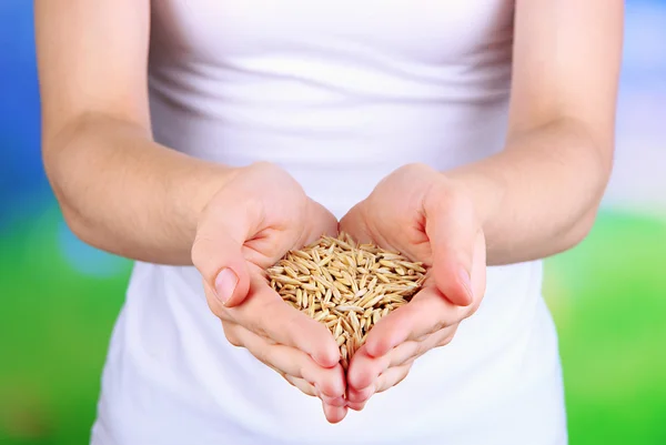 Grano de trigo en manos femeninas sobre fondo natural —  Fotos de Stock