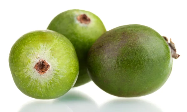 Grüne Feijoa-Frucht, isoliert auf weiß — Stockfoto