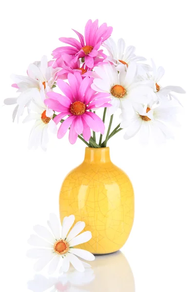 Beautiful daisies in colorful vase isolated on white — Stock Photo, Image