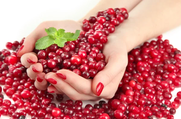 Mãos de mulher segurando cranberries vermelhas maduras, isolado no whit — Fotografia de Stock