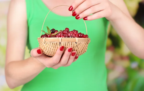 Mulher mãos segurando cesta de cranberries vermelhos maduros, perto u — Fotografia de Stock