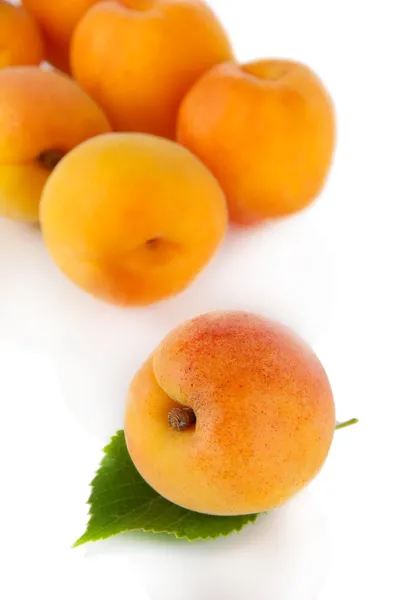 Apricots on white — Stock Photo, Image