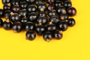 blackcurrants Sarı zemin üzerine