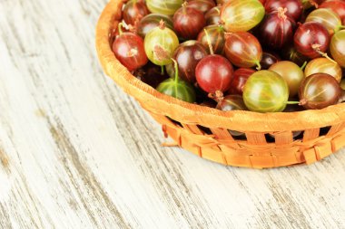 hasır sepet tablo yakın tarih içinde taze bektaşi