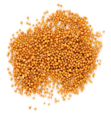 Beyaz üzerine izole hardal tohumları