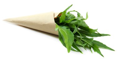 taze roka, üzerinde beyaz izole