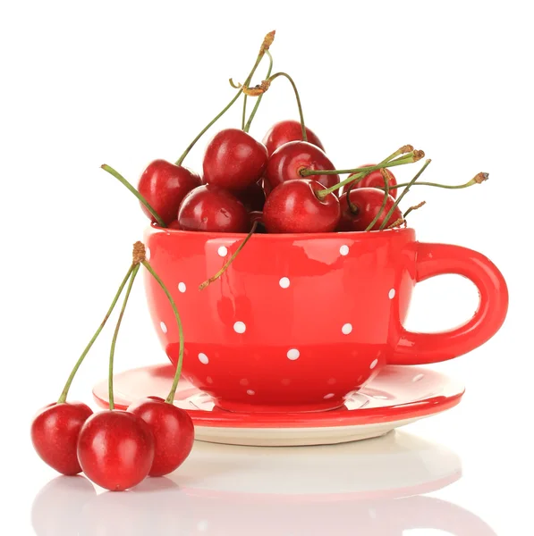 Bayas de cereza en taza aisladas en blanco — Foto de Stock