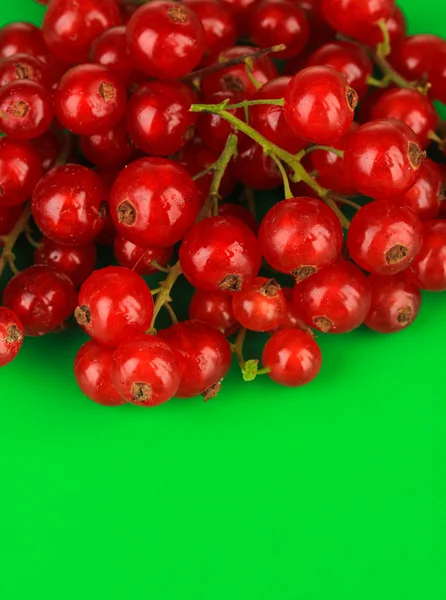 Redcurrants on green background — Stock Photo, Image