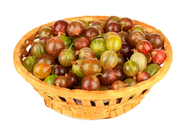 Fresh gooseberries in wicker basket isolated on white — Stock Photo, Image