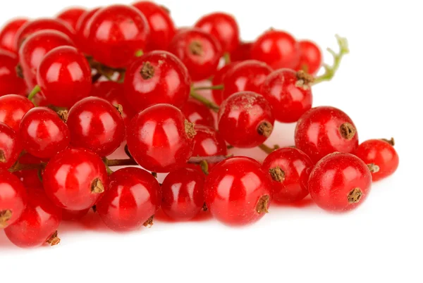 Groseilles rouges isolées sur blanc — Photo