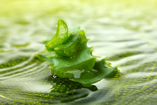 Primo piano delle foglie di aloe fresche — Foto Stock