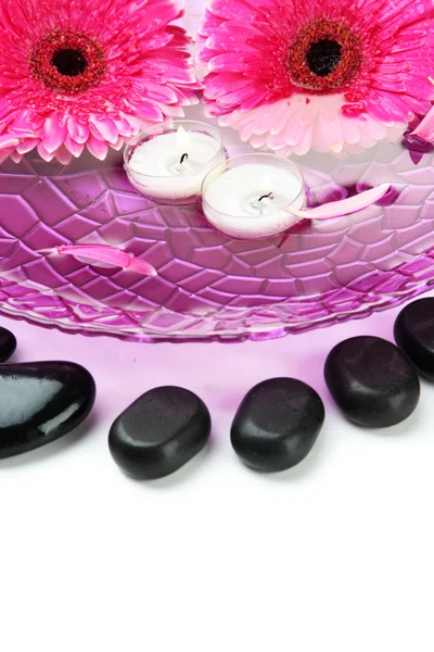 Wellness stones, gerberabloemen en kaarsen op water, geïsoleerd op wit — Stockfoto