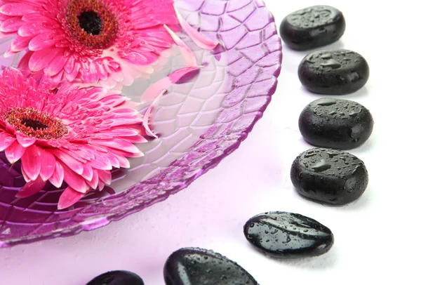 Pedras de spa e flores de gerbera na água, isoladas em branco — Fotografia de Stock