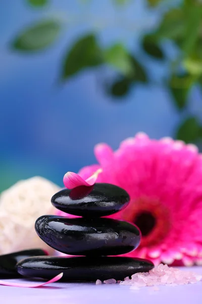 Pedras de spa e bela gerbera na mesa de madeira — Fotografia de Stock