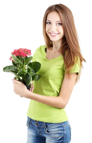 Schönes Mädchen mit Blume im Topf isoliert auf weiß — Stockfoto