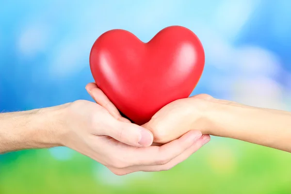 Hearts in hands on nature background — Stock Photo, Image