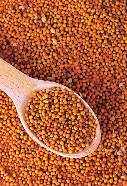 Mustard seeds, close up — Stock Photo, Image