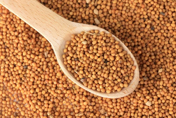 Mustard seeds, close up — Stock Photo, Image
