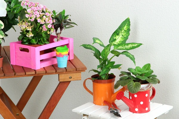 Viele schöne Blumen auf den Tischen im Zimmer — Stockfoto