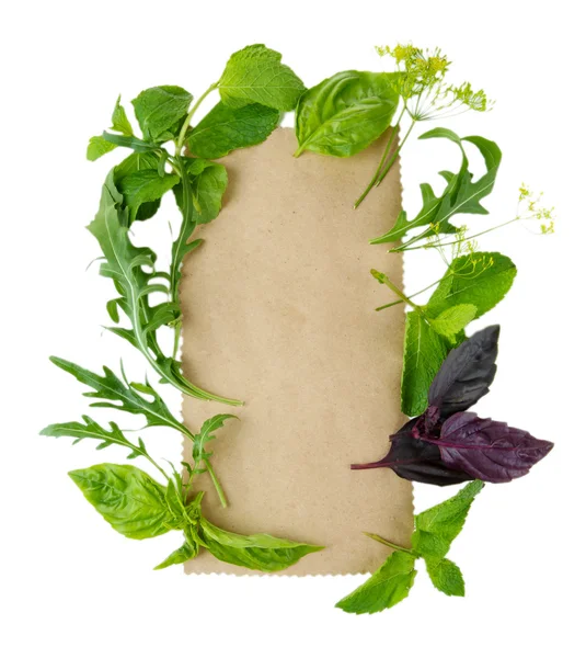 Old brown paper with fresh herbs, isolated on white — Stock Photo, Image