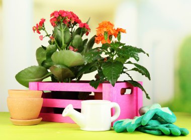 Tencere doğal zemin üzerine ahşap masa üzerine güzel çiçekler