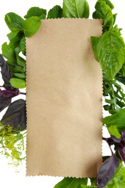 eski kahverengi kağıt üzerinde beyaz izole taze otlar ile
