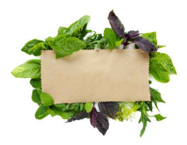 eski kahverengi kağıt üzerinde beyaz izole taze otlar ile