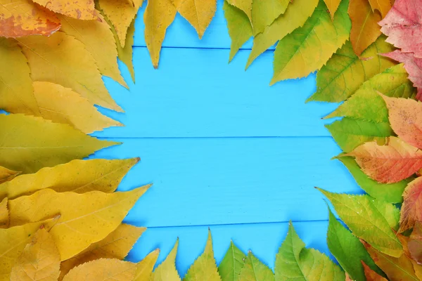 Bright autumn leaves on blue wooden board background — Stock Photo, Image