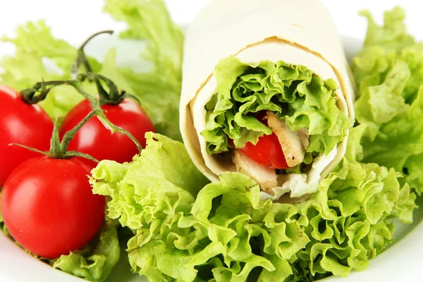 Kebab - grilled meat and vegetables, on plate, isolated on white — Stock Photo, Image