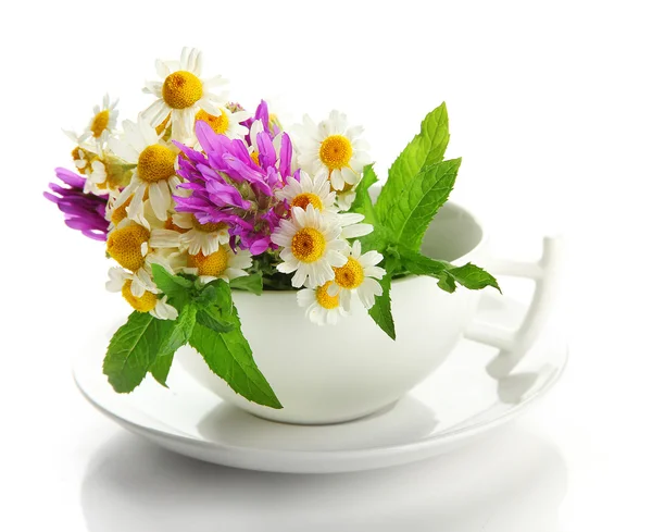 漂亮的野花和薄荷的杯子，白色上孤立 — 图库照片