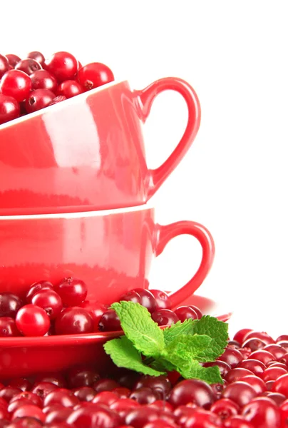 Ripe red cranberries in cups, isolated on whit — Stock Photo, Image