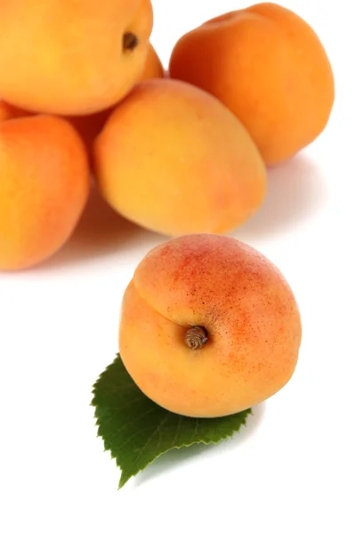 Apricots isolated on white — Stock Photo, Image