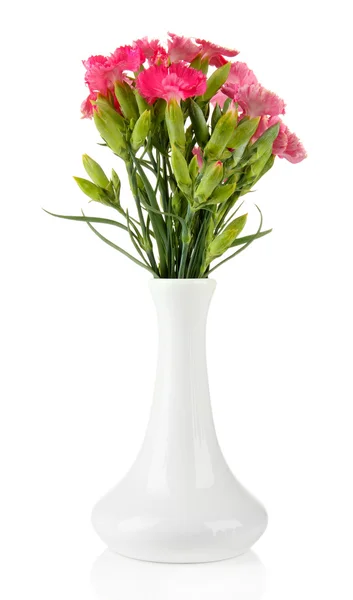 Bouquet of carnations in vase, isolated on white — Stock Photo, Image