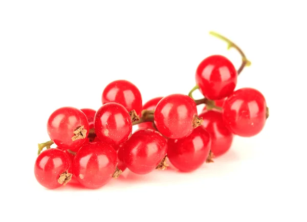 Redcurrants isolated on white — Stock Photo, Image