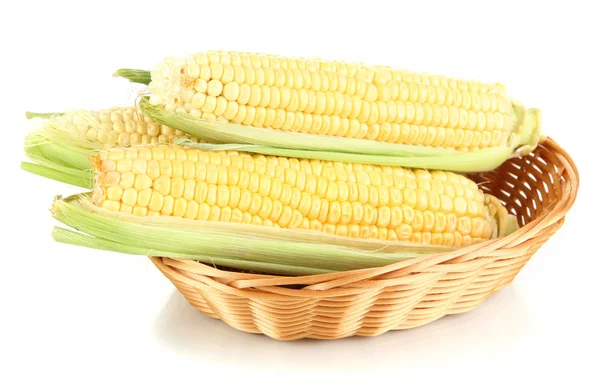 Fresh corn vegetable in basket isolated on white — Stock Photo, Image