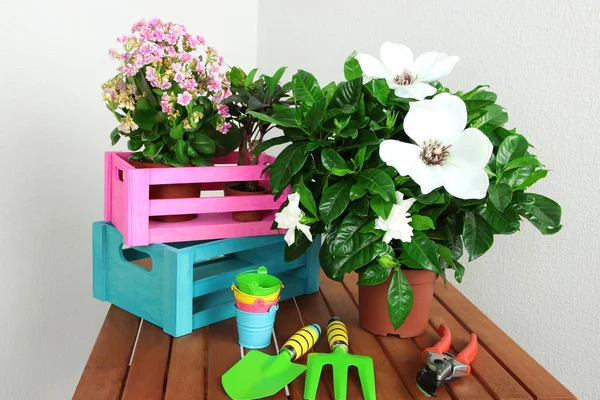 Muitas flores bonitas na mesa no quarto — Fotografia de Stock