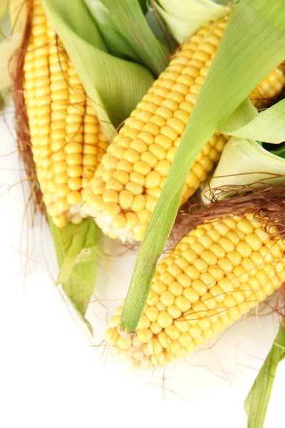 Crude corns isolated on white — Stock Photo, Image