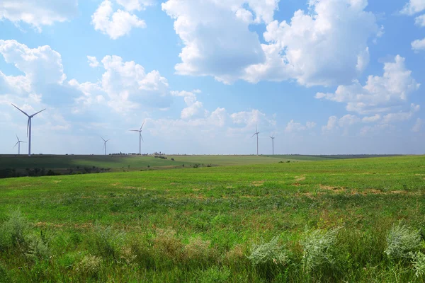 Windmills field — Stock Photo, Image