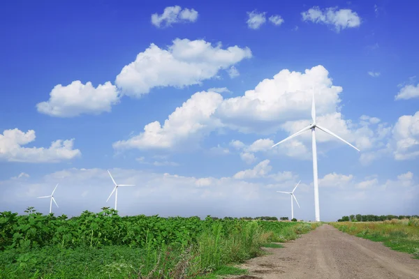 Windmolens veld — Stockfoto