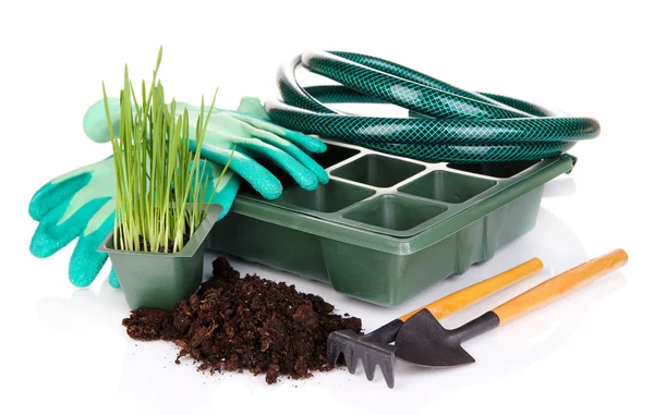 Seed box for seedling isolated on white — Stock Photo, Image