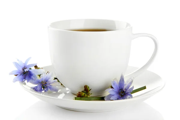Φλιτζάνι τσάι με ραδίκια, απομονωμένα σε λευκό — Φωτογραφία Αρχείου