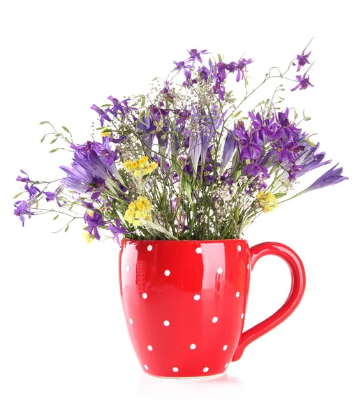 Beautiful bouquet of wildflowers in cup, isolated on white — Stock Photo, Image