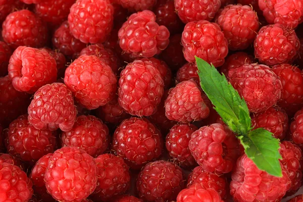 Ripe sweet raspberries, close up — Stock Photo, Image